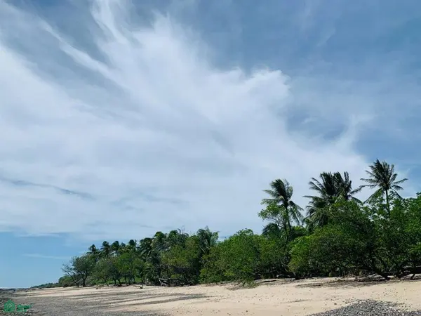 Numandi Land & 4-Bed Residence – Playa Avellanas, Santa Cruz,