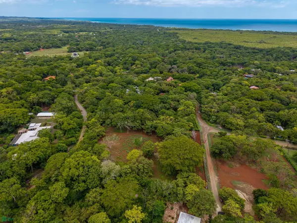 HAMMOCK PLANTACIÓN, Playa Negra, Veinticiete De Abril, Guanacaste 50303