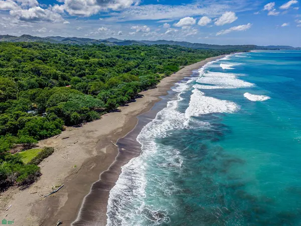 HAMMOCK PLANTACIÓN, Playa Negra, Veinticiete De Abril, Guanacaste 50303