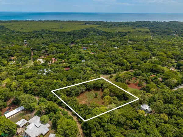 HAMMOCK PLANTACIÓN, Playa Negra, Veinticiete De Abril, Guanacaste 50303