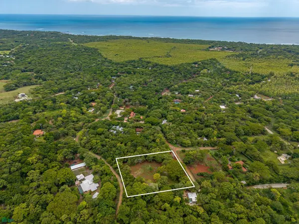HAMMOCK PLANTACIÓN, Playa Negra