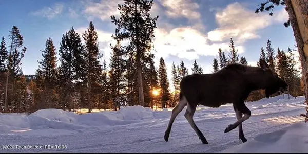 0000 US HIGHWAY 26, Dubois, WY 82513