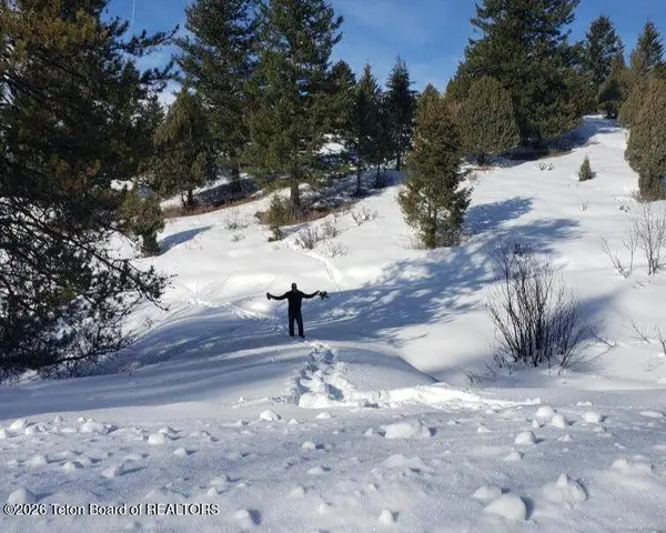 59 B4 CUTTHROAT RUN, Irwin, ID 83428