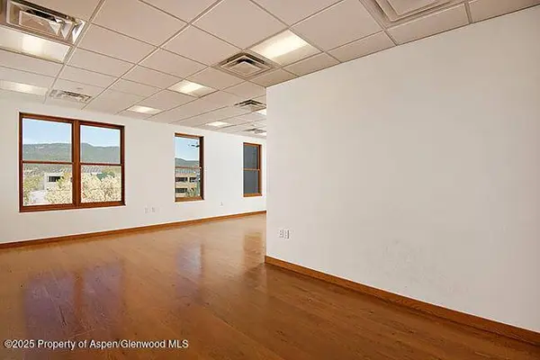 319 Main Street 202, Carbondale, CO 81623