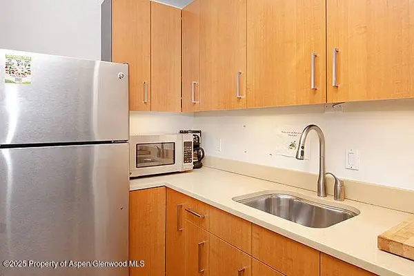 319 Main Street 202, Carbondale, CO 81623