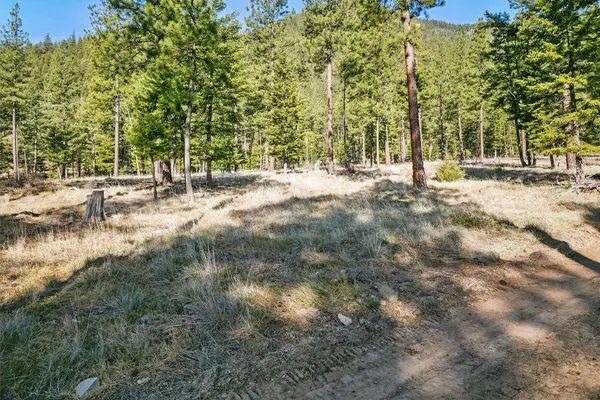 13902 Highland TRL, Alberton, MT 59820