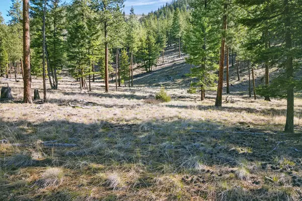 13902 Highland TRL, Alberton, MT 59820