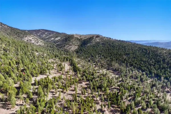 13902 Highland TRL, Alberton, MT 59820