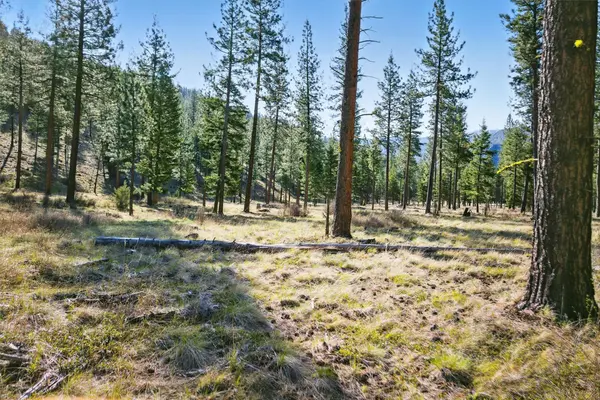 13902 Highland TRL, Alberton, MT 59820