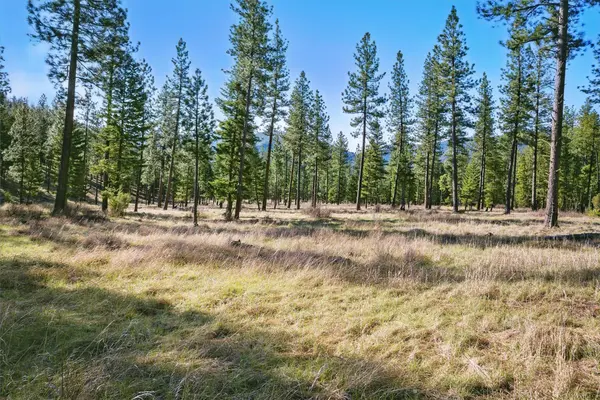 13902 Highland TRL, Alberton, MT 59820