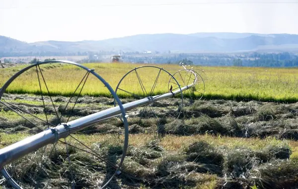 711 Middle Burnt Fork RD, Stevensville, MT 59870