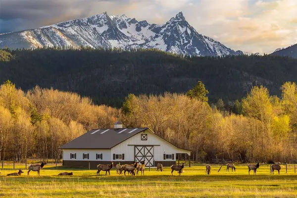 50 Tippet TRL, Darby, MT 59829