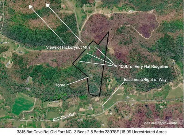 3815 Bat Cave RD, Old Fort, NC 28762
