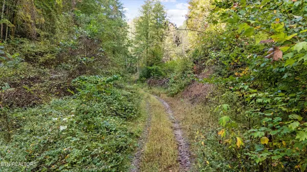 560 Prospect Rd, Luttrell, TN 37779