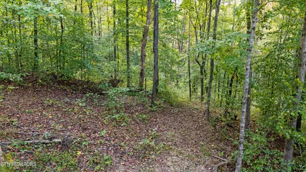 560 Prospect Rd, Luttrell, TN 37779