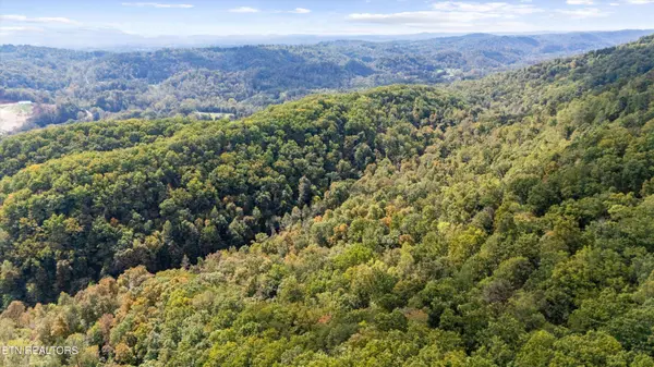 560 Prospect Rd, Luttrell, TN 37779