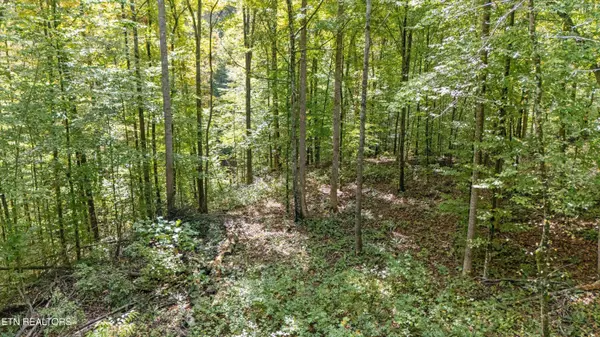 560 Prospect Rd, Luttrell, TN 37779