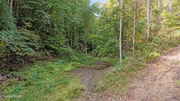 560 Prospect Rd, Luttrell, TN 37779