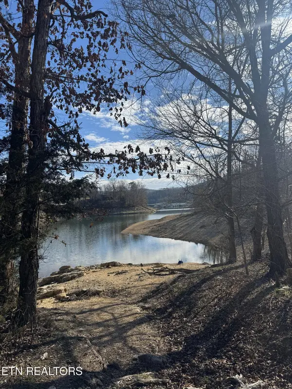 Molly Hollow Rd, New Tazewell, TN 37825
