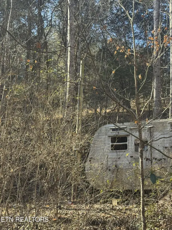 Molly Hollow Rd, New Tazewell, TN 37825