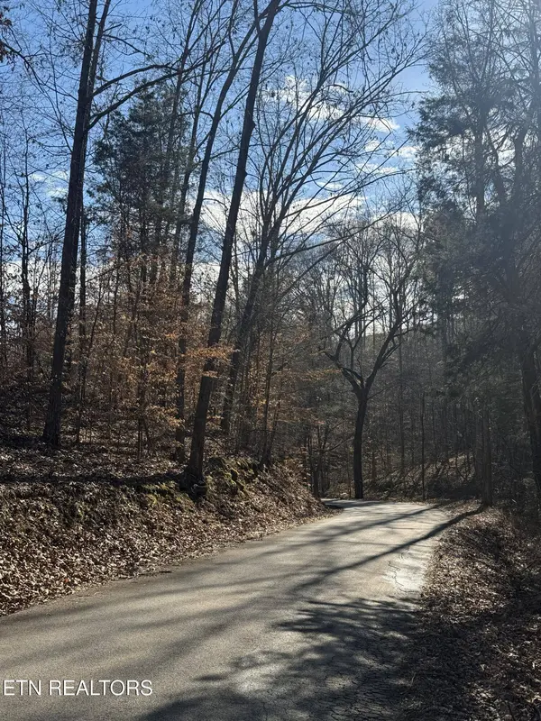 Molly Hollow Rd, New Tazewell, TN 37825
