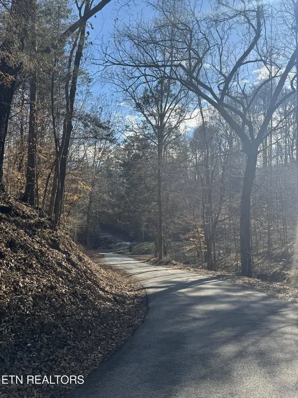 Molly Hollow Rd, New Tazewell, TN 37825
