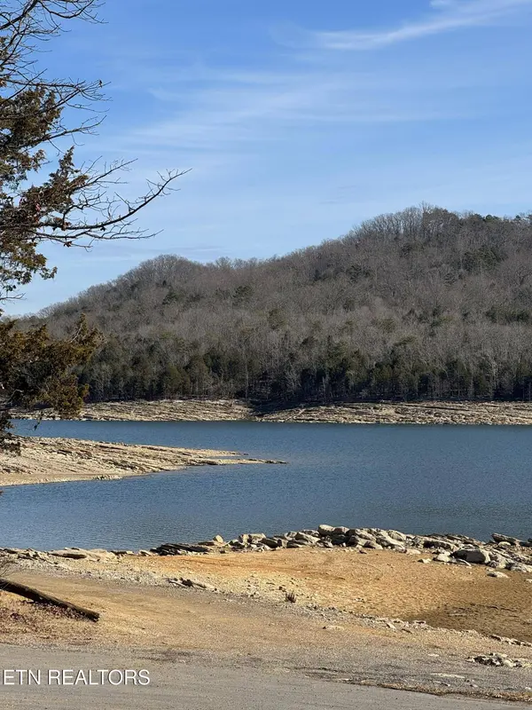 Molly Hollow Rd, New Tazewell, TN 37825