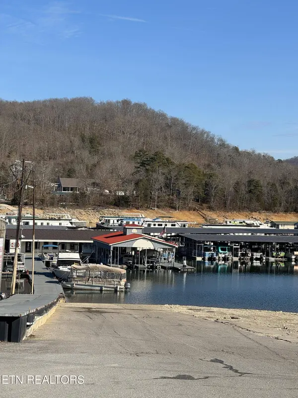 Molly Hollow Rd, New Tazewell, TN 37825