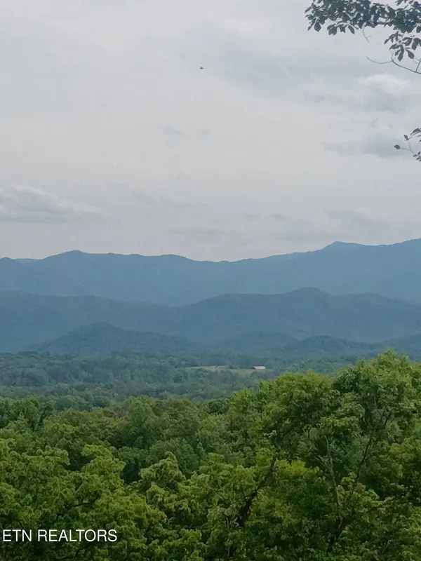 Lot 16 Moody Moon Ridge WAY, Newport, TN 37821