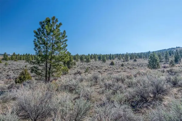 Parcel I Chase LN, Stevensville, MT 59870