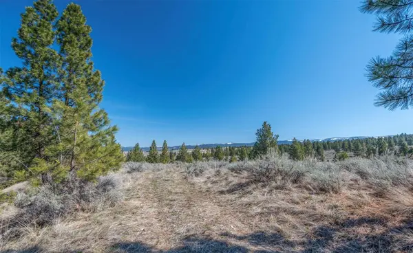 Parcel C Chase LN, Stevensville, MT 59870