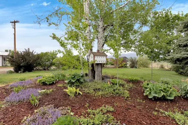 551 Fox Meadow LN, Hamilton, MT 59840