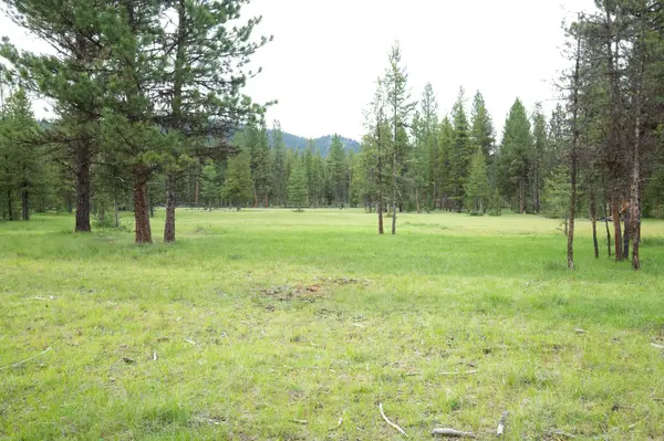 Tract A West Meadow RD, Darby, MT 59829
