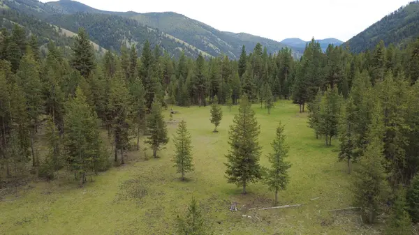 Tract A West Meadow RD, Darby, MT 59829
