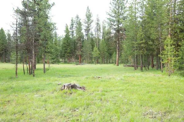 Tract A West Meadow RD, Darby, MT 59829