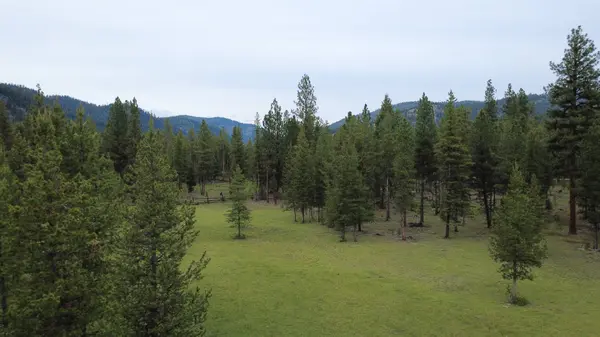 Tract A West Meadow RD, Darby, MT 59829