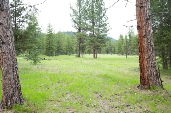 Tract A West Meadow RD, Darby, MT 59829