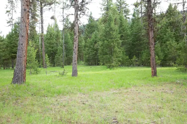 Tract A West Meadow RD, Darby, MT 59829