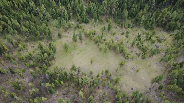 Tract A West Meadow RD, Darby, MT 59829