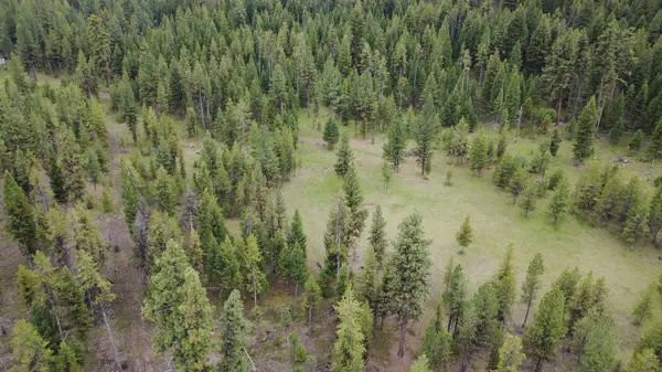 Tract A West Meadow RD, Darby, MT 59829