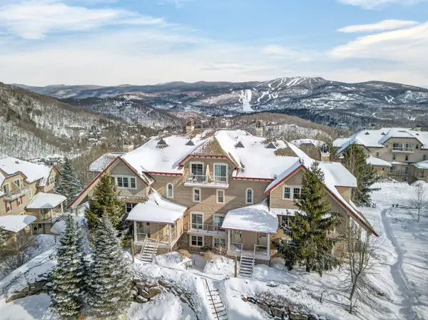 225 Rue du Mont-Plaisant #5, Mont-tremblant, QC J8E1L2