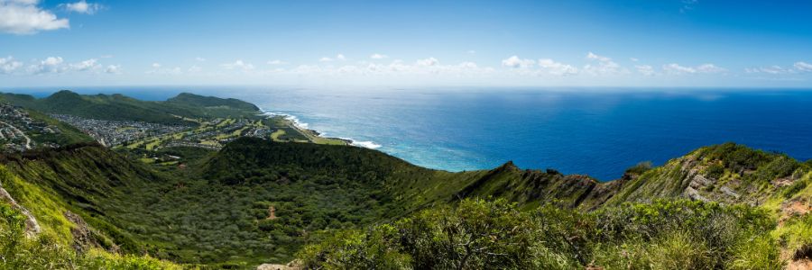 Koko Crater Botanical Garden - Kaniela Kimura, Real Estate Blog