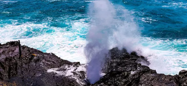 feature image of 5 Hidden Gems in Honolulu You’ll Love