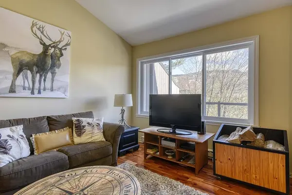 169 Rue Pinoteau, Mont-tremblant, QC J8E1G2