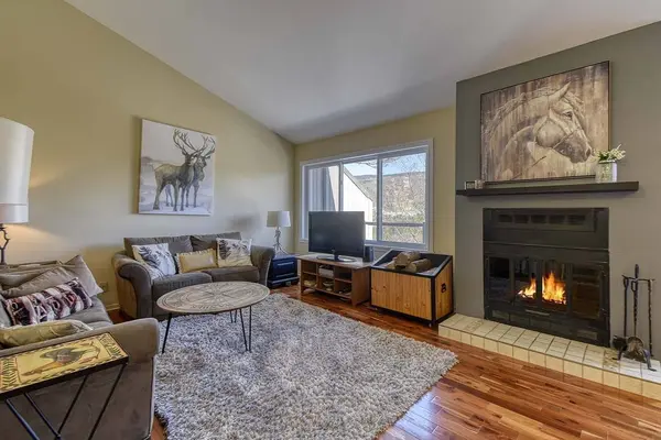 169 Rue Pinoteau, Mont-tremblant, QC J8E1G2