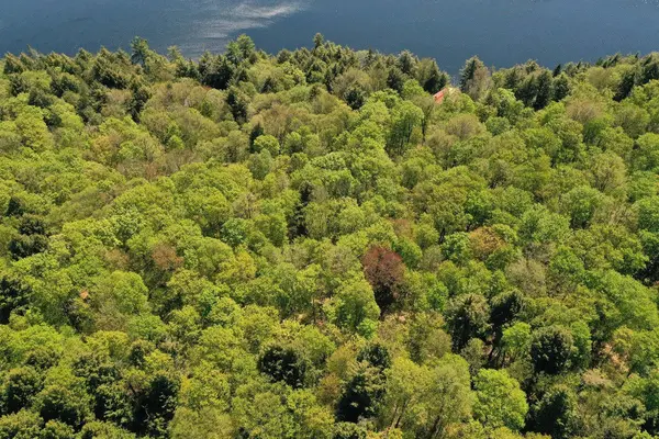 6337 Lac-des-Écorces, Barkmere, QC J0T1A0