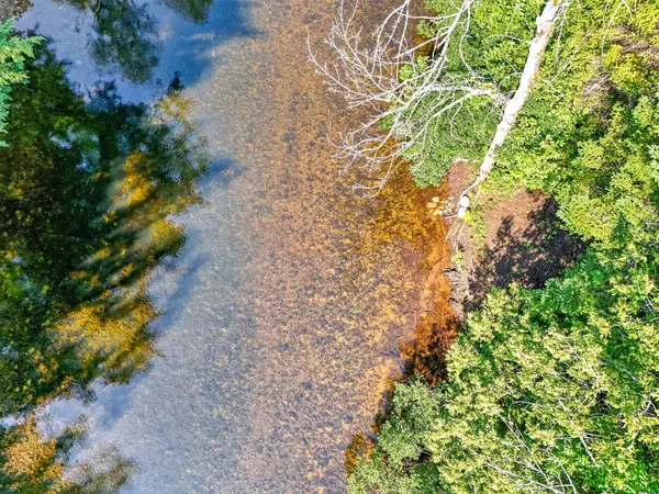 154 Ch. de la Pinède, Amherst, QC J0T2L0