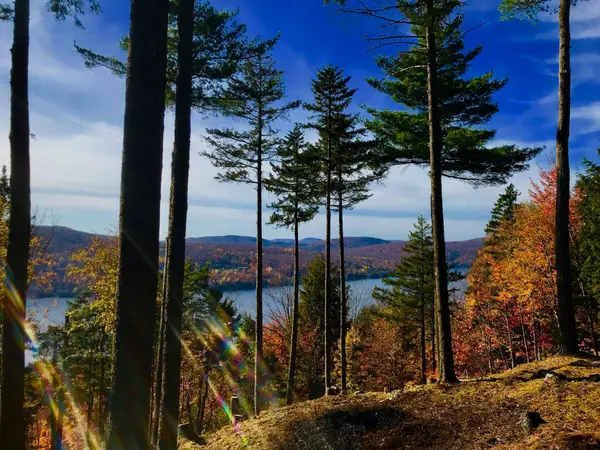 Ch. des Skieurs, Mont-tremblant, QC J8E1T1