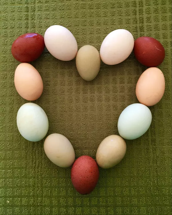 Live Your Luxury Series: Why I Choose Farm Fresh Eggs Over Store Bought