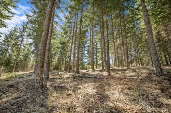 220 Tired Creek LN, Cle Elum, WA 98922